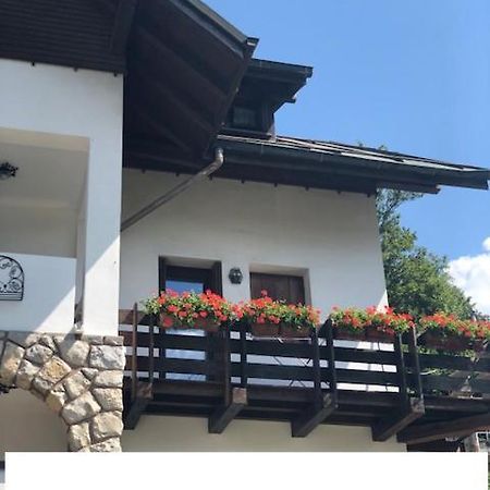 Apartamento La Casa Di Monte Ricco Pieve di Cadore Exterior foto