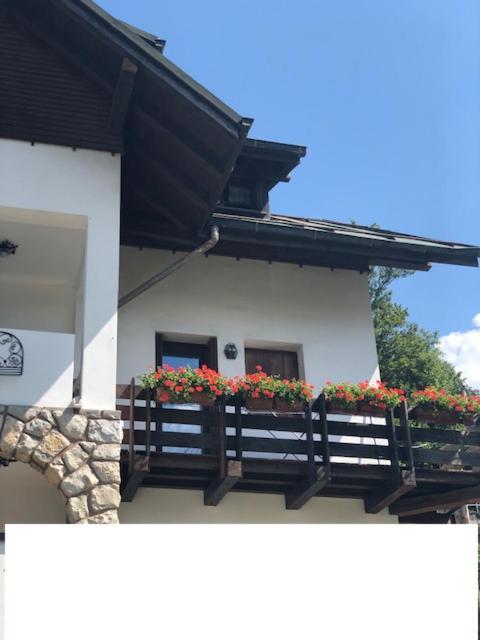 Apartamento La Casa Di Monte Ricco Pieve di Cadore Exterior foto