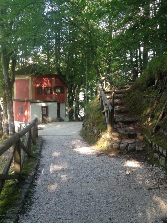 Apartamento La Casa Di Monte Ricco Pieve di Cadore Exterior foto